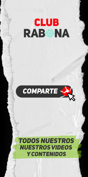Publicidad